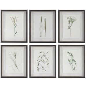 UTTERMOST FOREST FINDS FRAMED PRINTS, S/6 41459 toronto