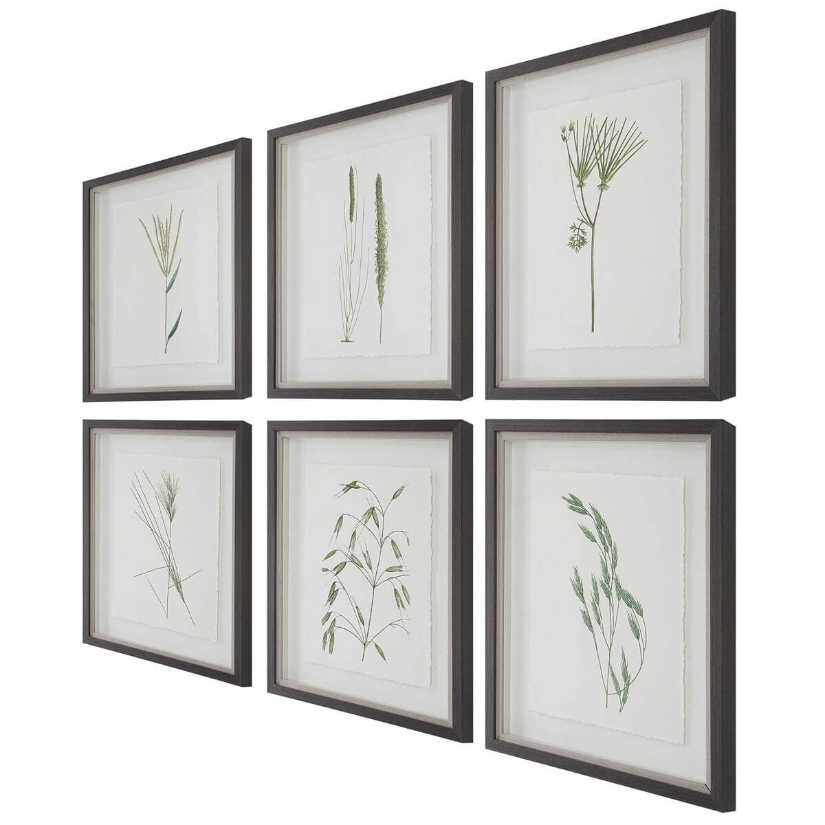 UTTERMOST FOREST FINDS FRAMED PRINTS, S/6 41459 toronto