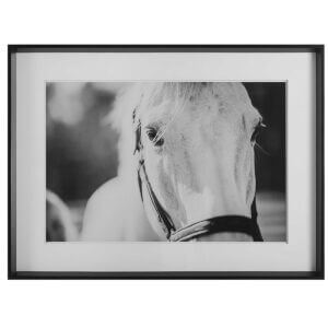 UTTERMOST EYES ON THE PRIZE FRAMED PRINT 41464 halifax