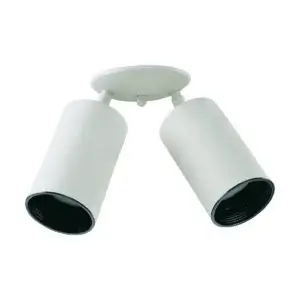 Quorum 2LT BULLET FIXTURE/WH 3128-2-6