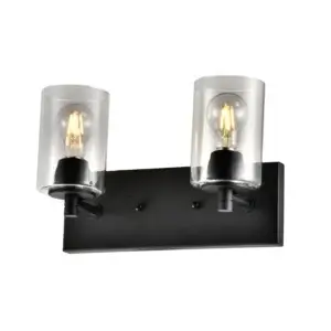 YOUNG LIGHTING 2 LIGHT WALL LAMP WITH GLASS SHADE MATTE BLACK 1398WL2 orangeville