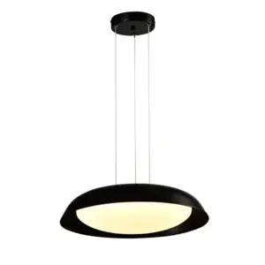 YOUNG LIGHTING LED PENDANT MATTE BLACK 3000K 2100C-BK barrie