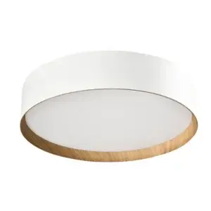 YOUNG LIGHTING LED FLUSH MOUNT 3000K MATTE WHITE 2101FM-WH huntsville