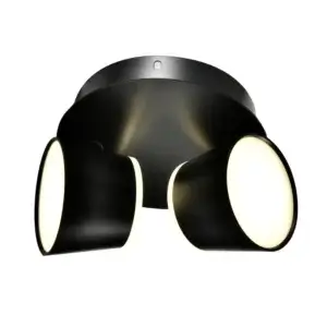 YOUNG LIGHTING 2 LIGHT FLUSH MOUNT MATTE BLACK 2122FM2 erin mills