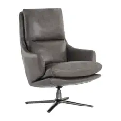 Sunpan Cardona Swivel Lounge Chair - Gunmetal 107084 trenton