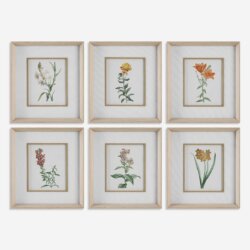 UTTERMOST CLASSIC BOTANICALS FRAMED PRINTS SET OF SIX 32284 toronto