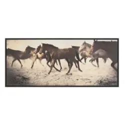 RENWIL ARES OL2126 toronto