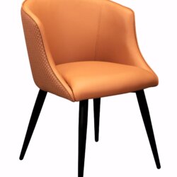 FURNISHINGS' MATE CELINE CHAIR APRICOT SET OF TWO DC 405-APR-MB toronto