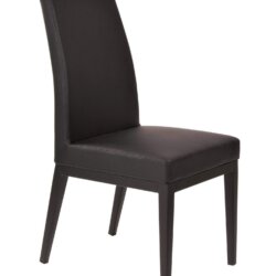 FURNISHINGS' MATE ERIKA CHAIR BLACK SET OF TWO DC 357-BL godridge