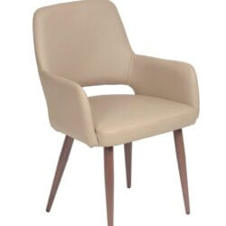 FURNISHINGS MATE ISAAC CHAIR TAUPE SET OF TWO DC T16-LT-BW stoney creek