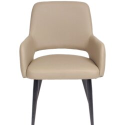 FURNISHINGS MATE ISAAC CHAIR TAUPE SET OF TWO DC T16-LT-MB port perry