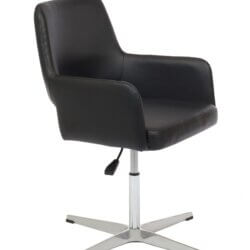 FURNISHINGS MATE ISAAC CHAIR BLACK SET OF TWO DC T16-BL-4S montreal