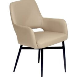 FURNISHINGS MATE ISAAC CHAIR TAUPE SET OF TWO DC T16-LT-BB toronto