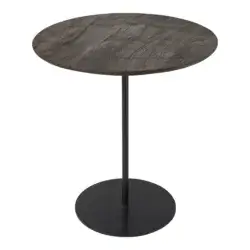 RENWIL ARGOS ACCENT TABLE TA526 kingston