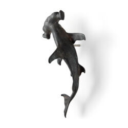 MERCANA ACUS 24H LARGE HAMMERHEAD SHARK WALL DECOR 57422 caledon