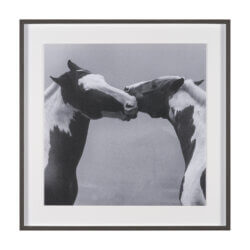 MERCANA HORSE HARMONY FRAMED ART PRINT 15766 mississauga