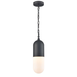 DVI LIGHTING CAPSULE OUTDOOR PENDANT DVP13775BK-OP oakville