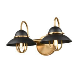 DVI LIGHTING PEGGY'S COVE 2 LT VANITY VENETIAN BRASS DVP31022GR+VBR