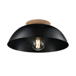 DVI LIGHTING BERGEN 16" SEMI-FLUSH MOUNT EBONY DVP36842EB+NW port perry