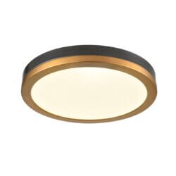 DVI LIGHTING TEMAGAMI 12" FLUSH MOUNT BRASS LED DVP39342BR+GR monton