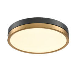 DVI LIGHTING TEMAGAMI 16" FLUSH MOUNT BRASS LED DVP39352BR+GR fredericton