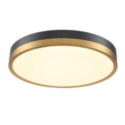 DVI LIGHTING TEMAGAMI 19.75" FLUSH MOUNT BRASS LED DVP39362BR+GR gravenhurst