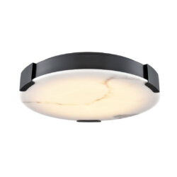 DVI LIGHTING PETRA 14" LED FLUSH MOUNT EBONY DVP42038EB-GFA Godridge