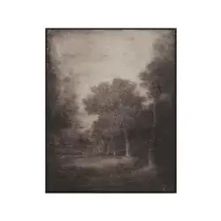 RENWIL FALCO PAINTING OL2289EV burlington