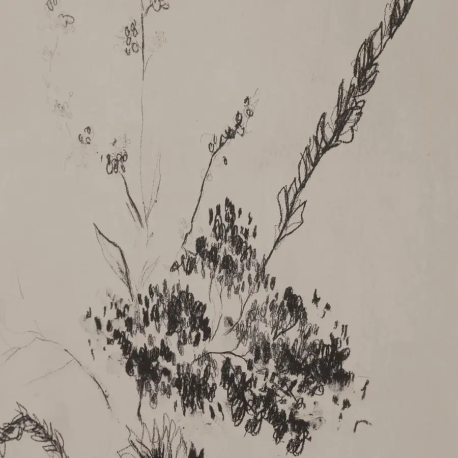 RENWIL ADELINE PRINT PA0060 milton