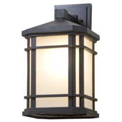 DVI LIGHTING CARDIFF OUTDOOR SCONCE DVP142020BK-SSD waterloo