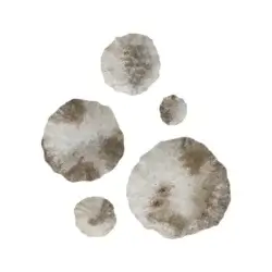 RENWIL ZESTIA WALL ART (SET OF 5) W6791 waterloo
